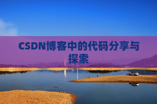 CSDN博客中的代码分享与探索